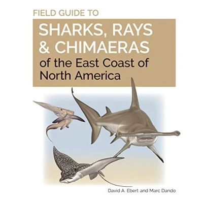Afbeelding van Field Guide to Sharks, Rays and Chimaeras of the East Coast North America: 21