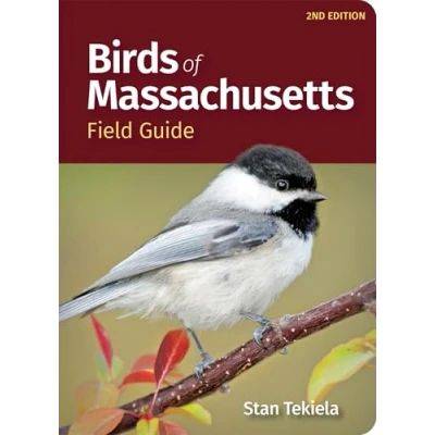 Afbeelding van Bird Identification Guides Birds of Massachusetts Field Guide