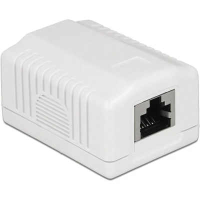 Afbeelding van Delock 86196 Netwerkstopcontact 1 poort Cat.6A LSA