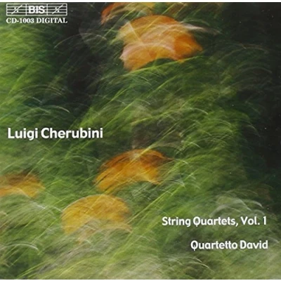 Afbeelding van Quartetto David String Quartet No.1 (CD)