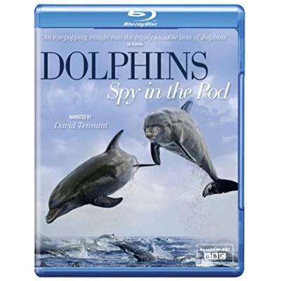 Afbeelding van Dolphins: Spy in the Pod (Blu ray) Import geen NL ondertiteling