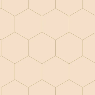 Afbeelding van Leen Bakker ESTAhome Behang Honingraatmotief Perzikroze 0.53 X 10.05 M Oranje Vlies
