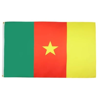 Afbeelding van Kameroense vlag 150x90 cm vlaggen 90 x 150 Banner 3x5 ft Licht polyester AZ FLAG