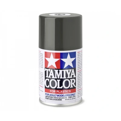 Afbeelding van TS 4 German Grey matt 100ml Spray