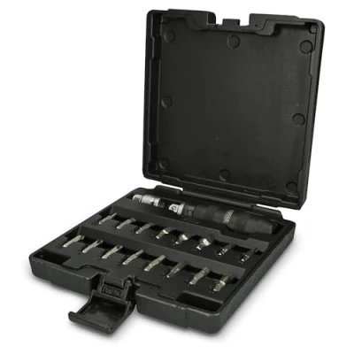 Afbeelding van KS Tools 515.1000 1/2 handslagschroevendraaierset, 18 delig