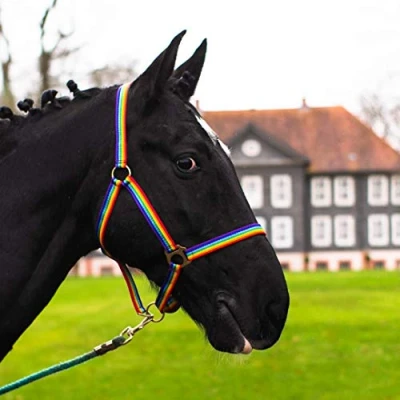 Afbeelding van Halster voor paard, warmbloed, volbloed, koudbloed, stalhalster, wilgenhalster, 2 voudig verstelbaar aan kinriem en nek, veilig scheurvast (Rainbow, Shetty)
