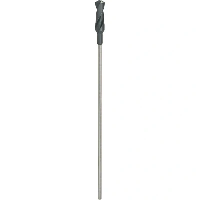 Afbeelding van Bosch Accessories 2608597177 Bekistingsboor 28 mm Gezamenlijke lengte 600 Cilinderschacht 1 stuk(s)