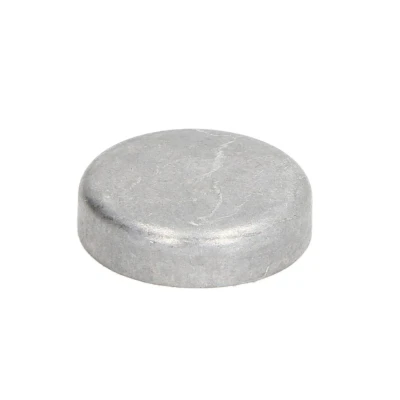 Afbeelding van Febi Bilstein Vriesstop/vorstplug 07284
