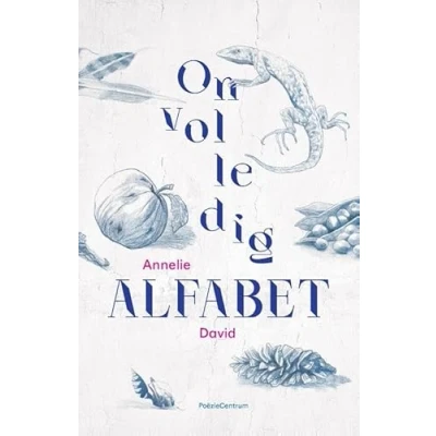 Afbeelding van Onvolledig alfabet