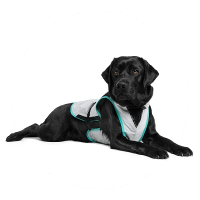 Afbeelding van Suitical Dry Cooling Vest Medium