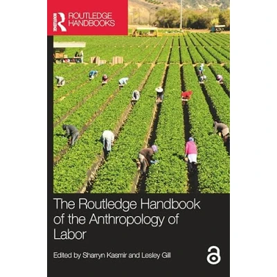Afbeelding van the Routledge Handbook of Anthropology Labor