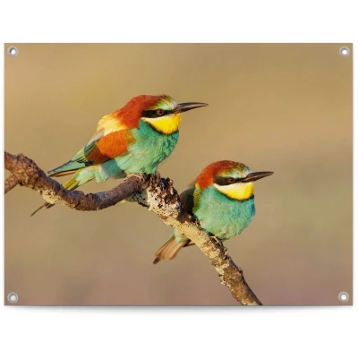 Afbeelding van Tuinposter De Bijeneter 60x80 cm Bont Canvas
