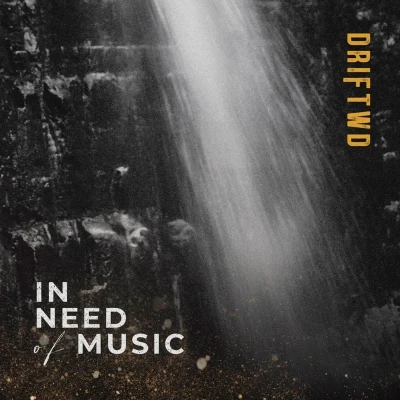 Afbeelding van Driftwd In Need of Music (LP)