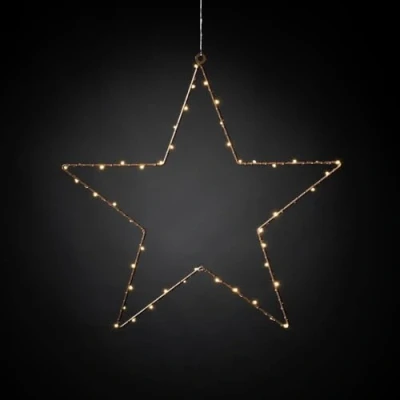 Afbeelding van Kerstster led kerstverlichting binnen 50 lampjes 45 x cm wa