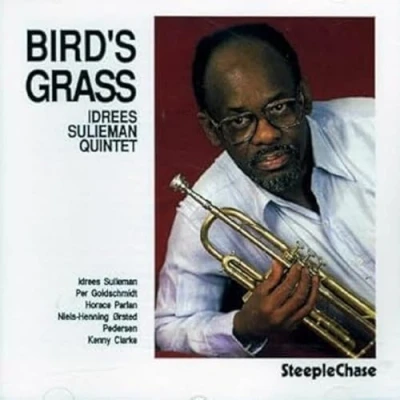 Afbeelding van Idrees Sulieman Bird&#039;s Grass (CD)