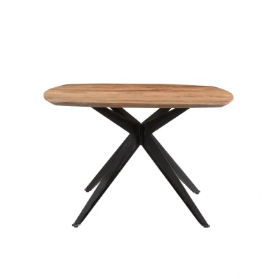 Afbeelding van Brix Bjorn vierkante eettafel 120 cm mangohout Hout