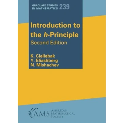 Afbeelding van Graduate Studies in Mathematics Introduction to the h Principle
