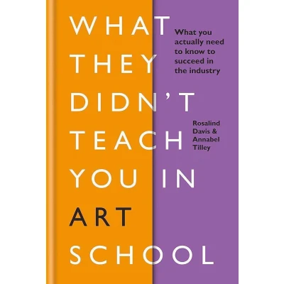 Afbeelding van What They Didn&#039;t Teach you in Art School: need to know survive as an artist