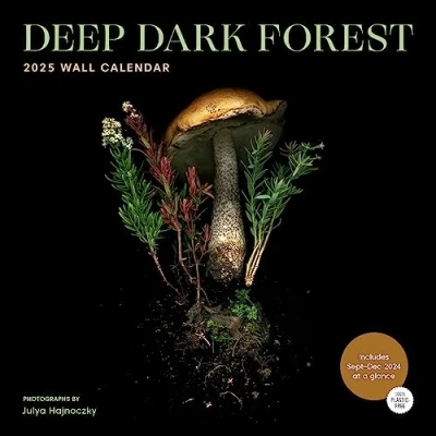 Afbeelding van 2025 Wall Calendar: Deep Dark Forest