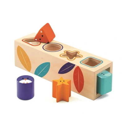 Afbeelding van Djeco houten vormen boita basic