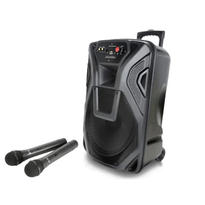 Afbeelding van QTX Sound Busker 15 bluetooth speaker USB/SD/FM en 2 microfoons