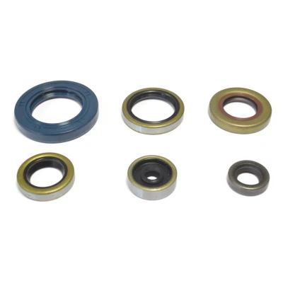Afbeelding van Motoroliekeerring set ATHENA P400270400047