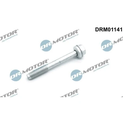 Afbeelding van DR.MOTOR AUTOMOTIVE DRM01141 Schroef, inspuitstukhouder