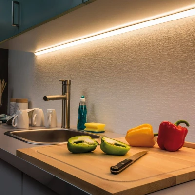 Afbeelding van Paulmann 70581 MaxLED 500 Strip 1 m 2700 K warm witte LED Stripe ongecoate 7W lichtstrip 550 lm 24 V, zilver