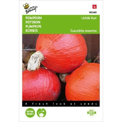 Afbeelding van Pompoen Uchiki Kuri (Oranjezon)