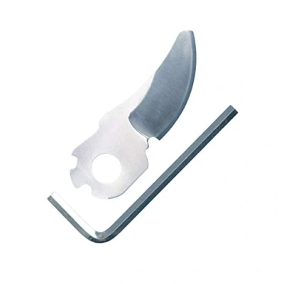 Afbeelding van Bosch Home and Garden F016800475 reservemes (voor EasyPrune)