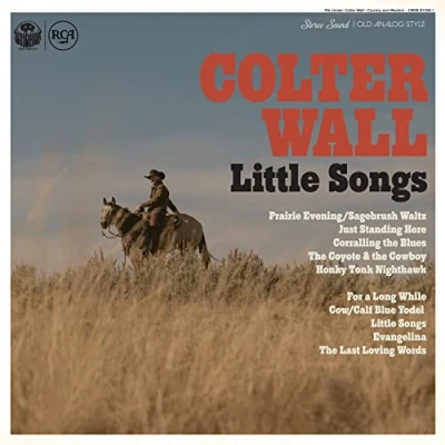 Afbeelding van Colter Wall Little Songs (LP)
