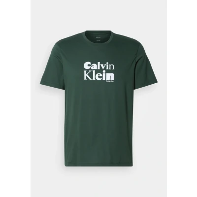 Afbeelding van CALVIN KLEIN T shirt SS 30S EU BOLD GRAP