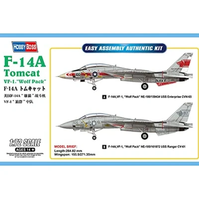 Afbeelding van F 14A TomCat VF 1 Wolf Pack