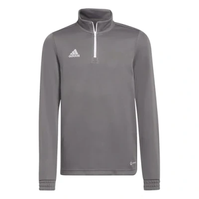 Afbeelding van adidas Uniseks Kind Entrada 22 Training Top, Team Grey Four, 7 8 Years
