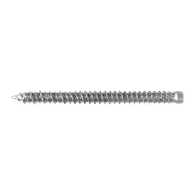 Afbeelding van pgb Europe SMART Kozijnschroef CK T30 Ø 7,50x102 Zn 100 st SM0WSC001075102E