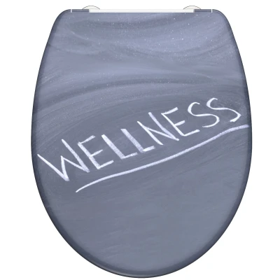 Afbeelding van Toiletbril met soft close quick release WELLNESS
