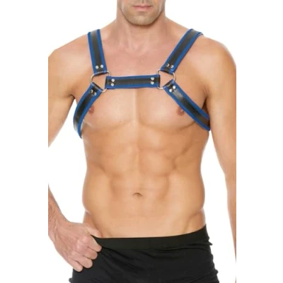 Afbeelding van Leather Bulldog Harness with Buckles S/M