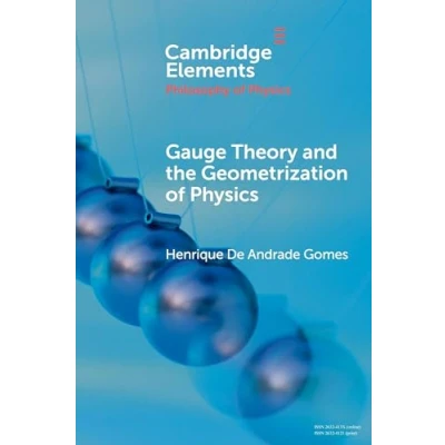 Afbeelding van Elements in the Philosophy of Physics Gauge Theory and Geometrisation