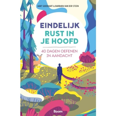 Afbeelding van Eindelijk rust in je hoofd (Paperback)