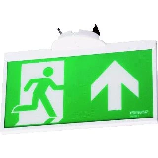 Afbeelding van Famostar go ippa 1 noodverlichting inbouw 25m leesafstand zonder pictogram kunststof ip40 hxbxl 146x12x261mm 391602