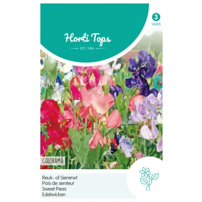 Afbeelding van Lathyrus, Reuk of Siererwt Colorama gemengd