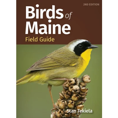Afbeelding van Birds of Maine Field Guide