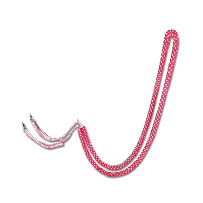 Afbeelding van Lunging Aid