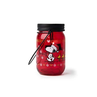 Afbeelding van deur T Light Peanuts Nat