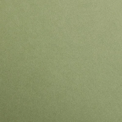 Afbeelding van Clairefontaine 397170C verpakking (met 250 vellen tekenpapier Maya, 50 x 70 cm, 120 g, glad, ideaal voor droogtechniek en inlijsting), bladgroen