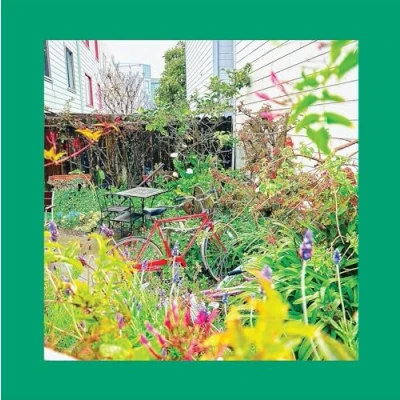 Afbeelding van Pinks Reds and Purples Unwishing Well (LP)