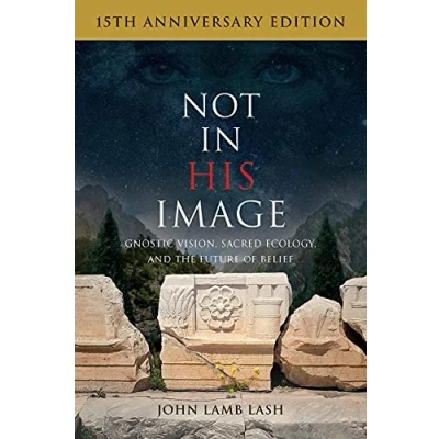 Afbeelding van Not in His Image (15th Anniversary Edition): Gnostic Vision, Sacred Ecology, and the Future of Belief