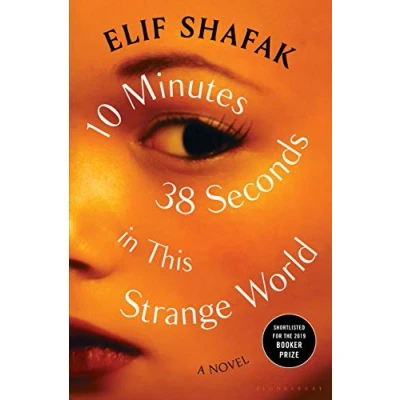 Afbeelding van 10 Minutes 38 Seconds in This Strange World