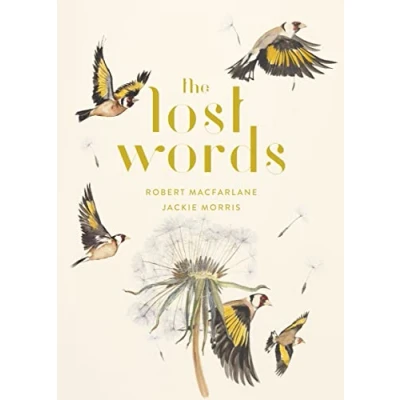Afbeelding van Lost Words (Hardback)