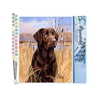 Afbeelding van Figured&#039;Art Schilderen op Nummer Volwassenen canvas Labrador Handwerk acrylverf Kit DIY Compleet 40x50cm zonder frame